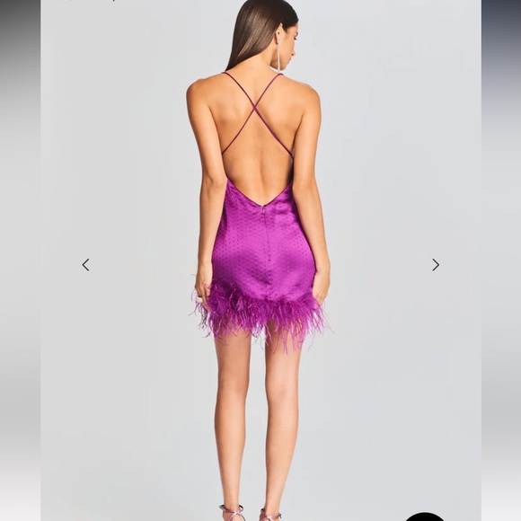 Retrofete Susana Feather Mini Dress - Picture 2 of 13